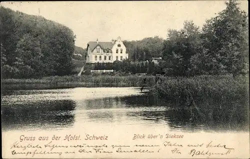 Ak Malente Gremsmühlen Holst. Schweiz, Blick über den Dieksee, Villa