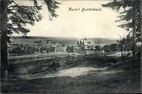 Ak Buntenbock Clausthal Zellerfeld Oberharz, Ortsansicht