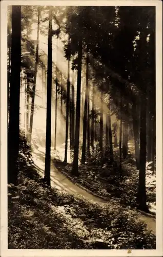 Ak Tabarz im Thüringer Wald, Lauchagrund