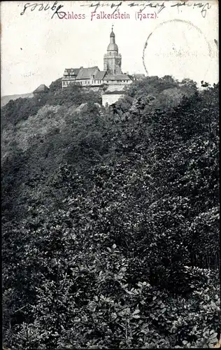 Ak Falkenstein im Harz, Schloss