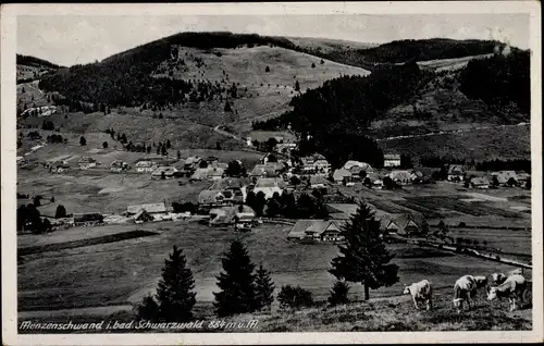 Ak Menzenschwand Sankt Blasien im Schwarzwald, Panorama