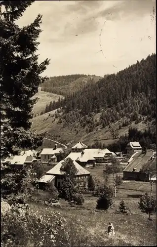Ak Menzenschwand Sankt Blasien im Schwarzwald, Teilansicht