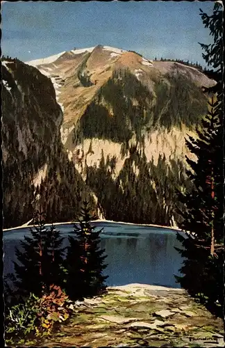 Ak Feldberg im Schwarzwald, Feldsee, Seebuck