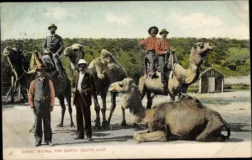 Ak Australien, Camel riding, Far North