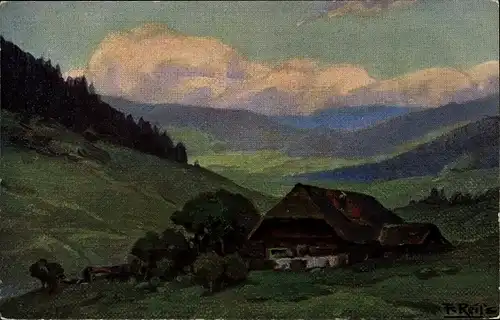 Künstler Ak Reiss, Fritz, Sommer im Schwarzwald