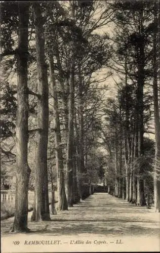 Ak Rambouillet-Yvelines, Allee des Cypres