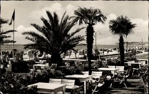 Ak Grömitz in Ostholstein, Terrasse, Palmen, Strandpartie