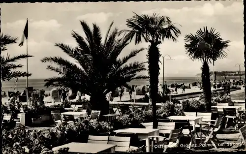 Ak Ostseebad Grömitz in Holstein, Terrasse, Palmen, Strandpartie