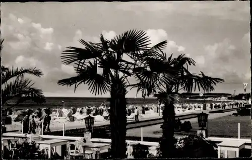 Ak Ostseebad Grömitz in Holstein, Palmen, Terrasse, Strand