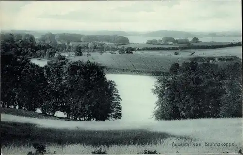 Ak Bruhnskoppel Malente in Ostholstein, Panorama