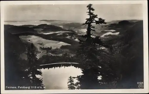 Ak Feldberg im Schwarzwald, Feldsee, Panorama