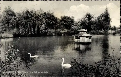 Ak Fürstenberg an der Weser, Am Schwanenteich