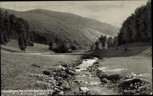 Ak Schleusingen, Partie im Vessertal, Bachlauf, Wälder