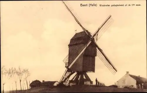Ak Beert Halle Flämisch Brabant, Windmühle