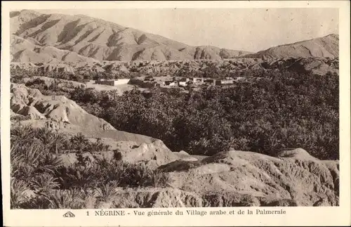 Ak Negrine Algerian, Gesamtansicht des Arabischen Dorfes und des Palmenhains