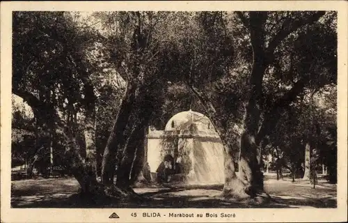 Ak Blida Algerien, Marabout in Bois Sacre
