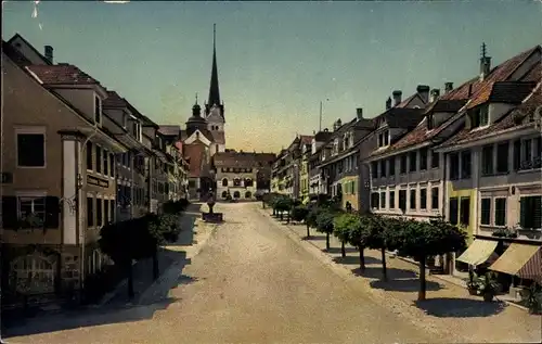 Ak Münster Kanton Luzern, Strassenpartie