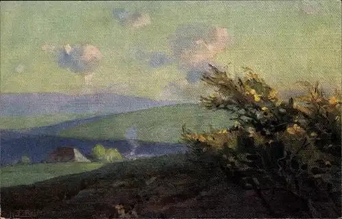 Künstler Ak Reiss, Fritz, Schwarzwald, Landschaft