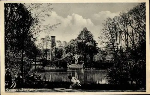 Ak Cottbus in der Niederlausitz, Stadtpark