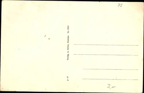 Ak Cottbus in der Niederlausitz, Stadtpark