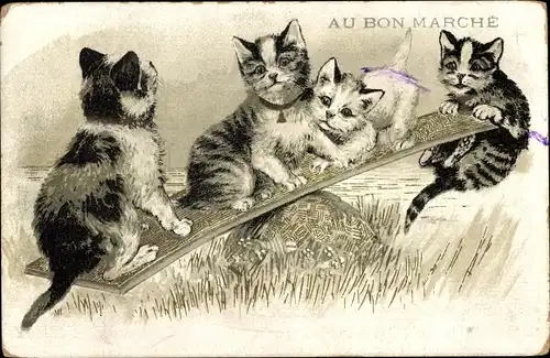 Litho Katzen beim Wippen, Hauskatzen