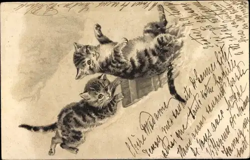 Präge Litho Zwei junge Katzen