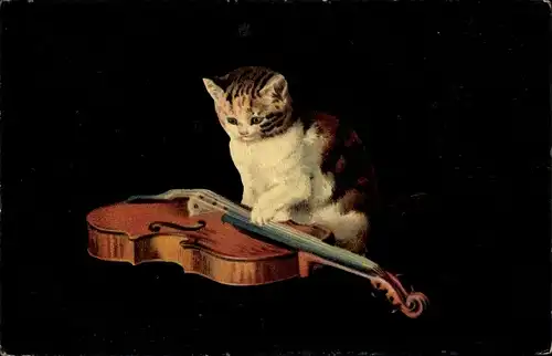Ak Katze spielt Geige, Musikinstrument