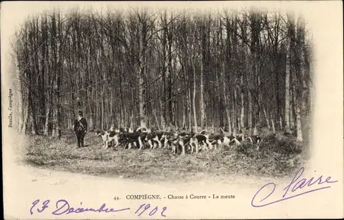 Ak Compiègne Oise, Jagd, Hundemeute