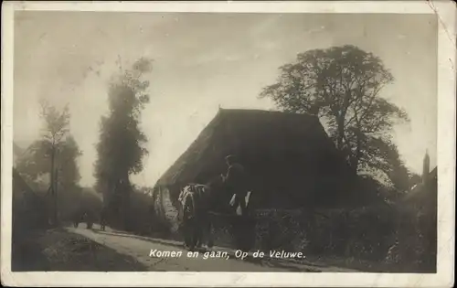 Ak Veluwe Gelderland, Dorfstraße, Fuhrwerk, Bauer