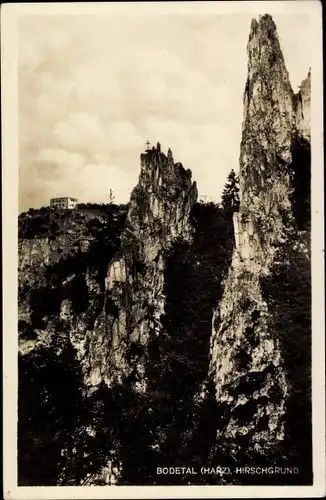 Ak Thale im Harz, Bodetal, Hirschgrund