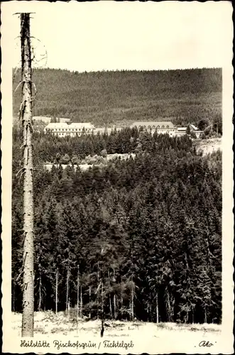 Ak Bischofsgrün im Fichtelgebirge, Heilstätte, Wälder