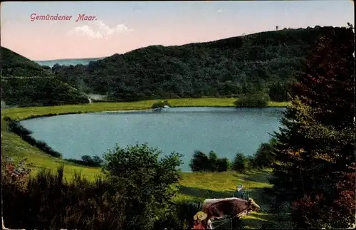 Ak Gemünden Daun in der Eifel, Gemündener Maar