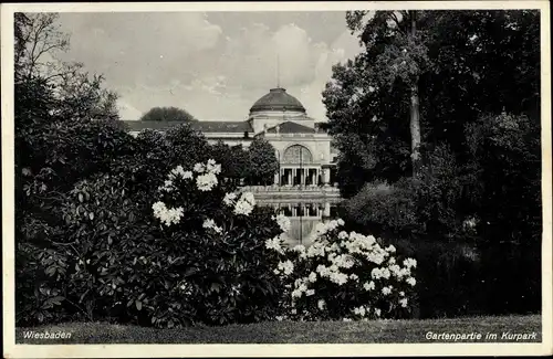 Ak Wiesbaden in Hessen, Garten, Kurpark