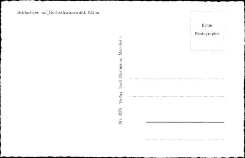 Ak Schluchsee im Schwarzwald, Panorama