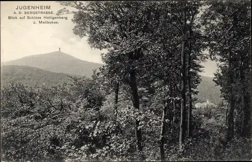 Ak Jugenheim an der Bergstraße Hessen, Schloss Heiligenberg, Melibokus