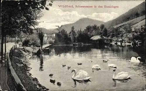 Ak Bad Wildbad im Schwarzwald, Schwanensee, Enzanlagen