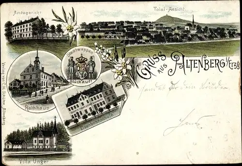 Litho Altenberg im Erzgebirge, Totalansicht, Amtsgericht, Rathaus, Villa Unger, Eisenbahnschule