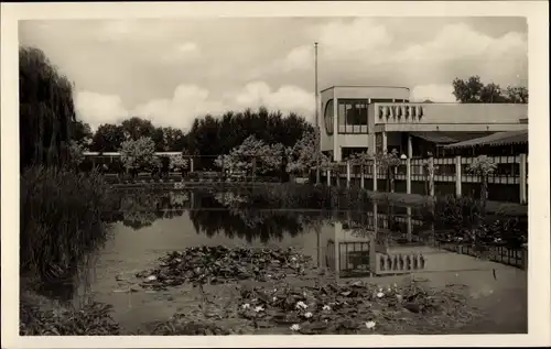 Ak Pardubice Pardubitz Stadt, Gebäude, Teich
