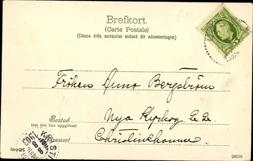 Ak Uppsala Schweden, Svandammen Slottet