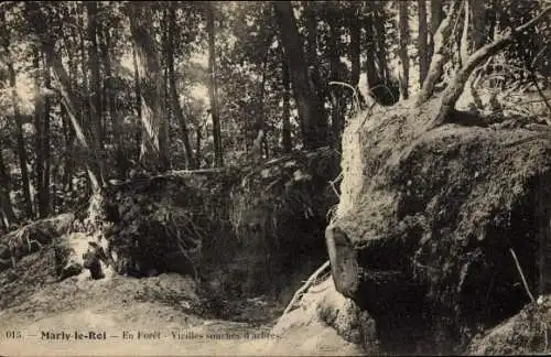 Ak Marly le Roi Yvelines, En Foret, Alte Baumstümpfe