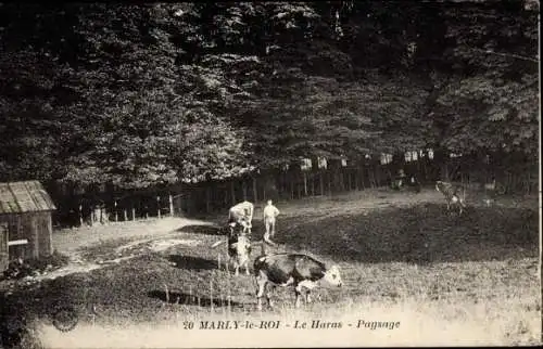 Postkarte Marly le Roi Yvelines, Le Haras, Landschaft