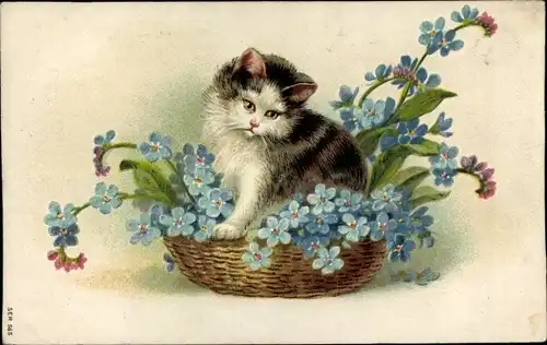 Präge Ak Katze im Blumenkorb, Vergissmeinnicht