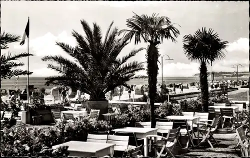 Ak Grömitz in Ostholstein, Terrasse, Palmen, Strandpartie