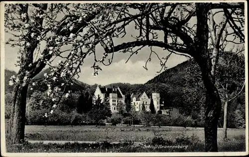 Ak Brannenburg in Oberbayern, Schloss, blühender Baum