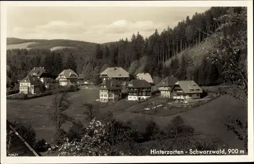 Ak Hinterzarten im Schwarzwald, Teilansicht