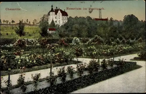 Ak Chemnitz in Sachsen, Rosarium, Stadtpark