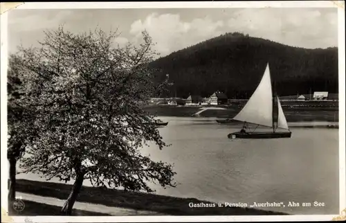 Ak Aha Schluchsee im Schwarzwald, Gasthaus und Pension Auerhahn, Segelboot