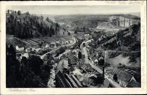 Ak Rübeland Harz, Gesamtansicht