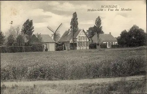 Ak Schilde Flandern Antwerpen, Teilansicht, Windmühle