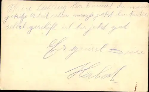 Handgemalt Ak Windmühle und Wohnhaus, Blüten